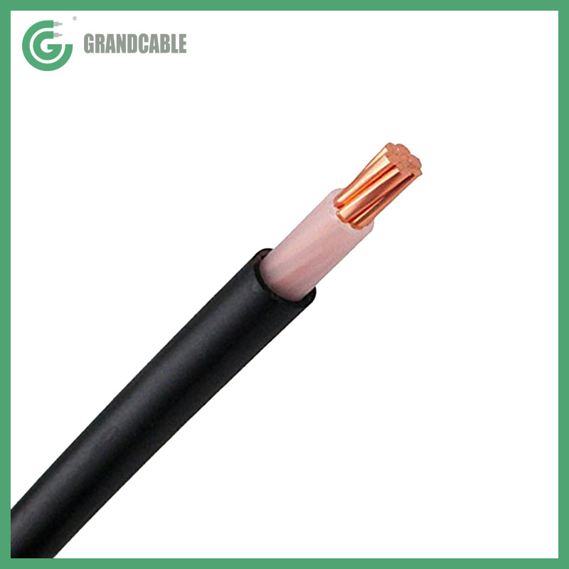 
                Single Core 1x50mm2 Conducteur en cuivre et isolation en polyéthylène réticulé anti termite rongeur 0.6/1Sheahted PVC Câble d′alimentation kV
            