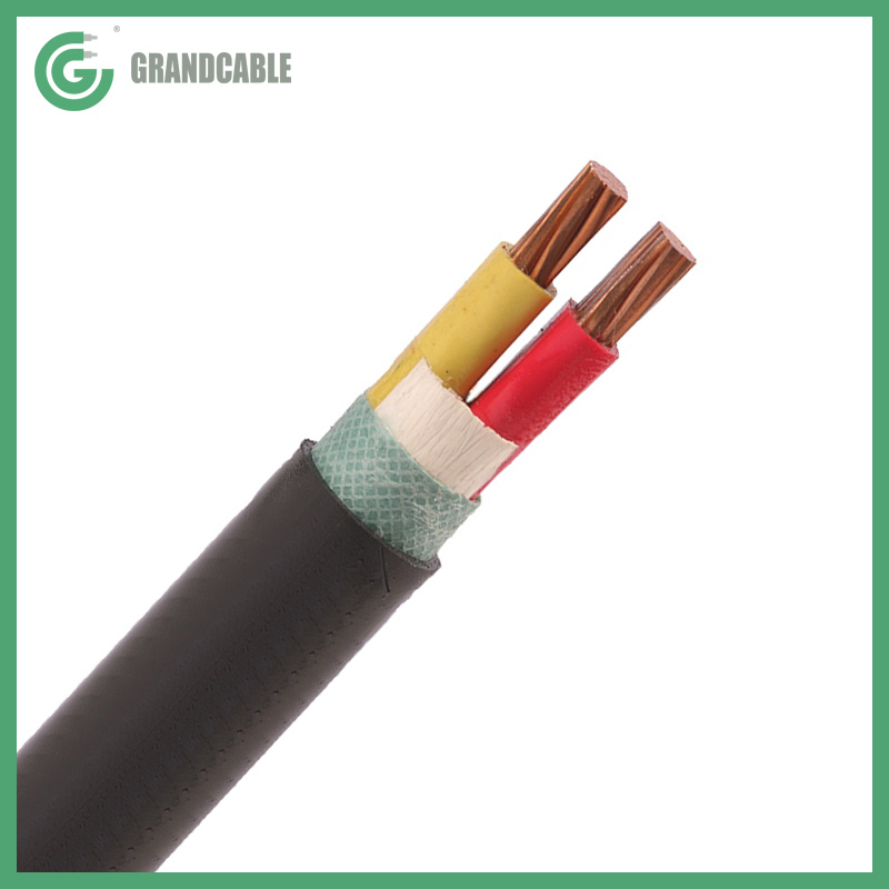 2X25mm2 Copper Conductor XLPE Insulated Anti Termite and Rodent PVC Sheahted Power Cable