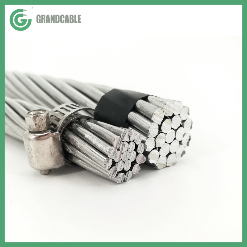 China 
                        Câble Aster 117 mm2 AAAC Conductor for Medium voltage overhead network NF C 34-125
                      manufacture and supplier