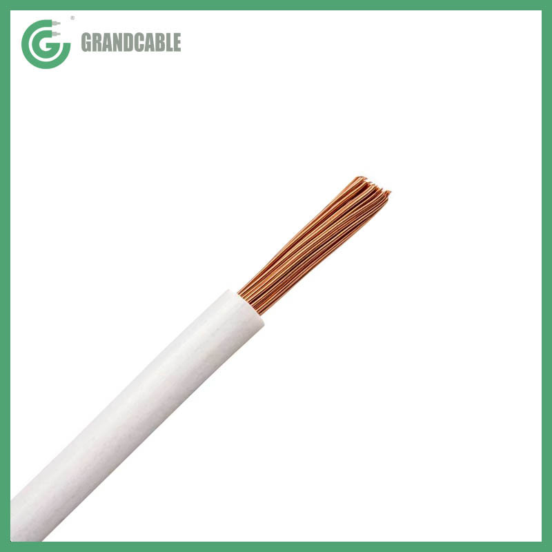 China 
                CABO BWF PVC FLEXIBLE 16MM2 750 V CABLE ABNT NBR NM 247-3
              fabricante y proveedor