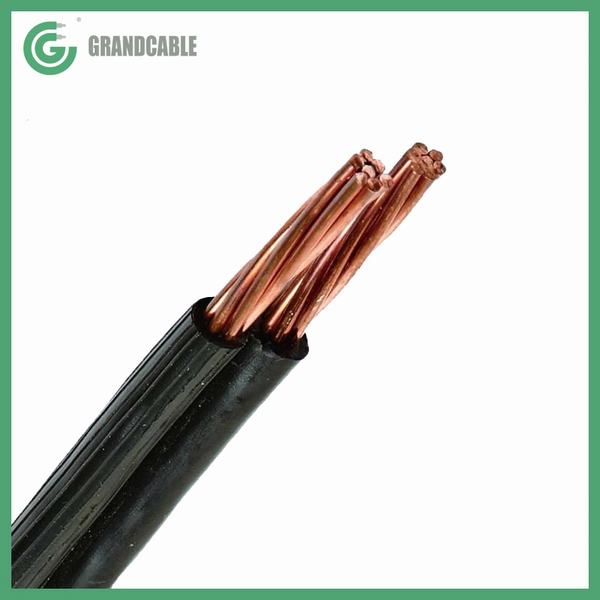 China 
                        Copper Conductor XLPE Insulated 2X6mm2 0.6/1kV XS ABC Aerial Bundled Cable
                      manufacture and supplier