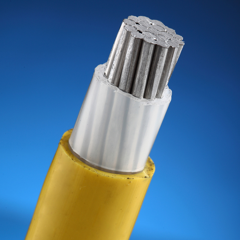 
                Câble d′alimentation blindé en PVC 0.6/1kv 10 mm2, conducteur simple XLPE, Yjlv
            