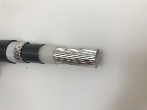 China 
                                 0.6/1kv 16mm Aluminiumisolierungs-konzentrisches Kabel des leiter-XLPE                              Herstellung und Lieferant