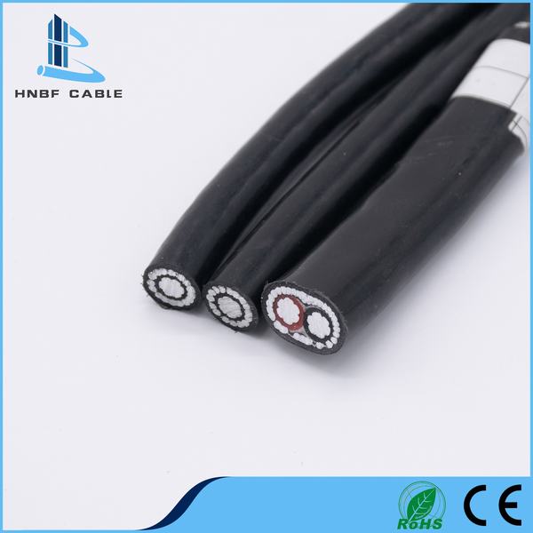China 
                        0.6/1kv 2*8AWG Copper Conductor XLPE Insulated Electric Wire Concentric Cable
                      manufacture and supplier