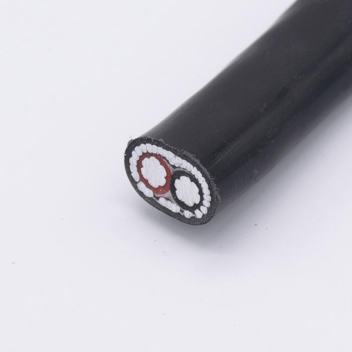 0.6/1kv Concentric Cable 1*8AWG+8AWG XLPE Insulated Copper