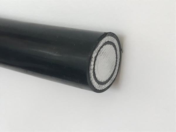 China 
                        0.6/1kv Copper Conductor XLPE/PVC Insulated Concentric Cable
                      manufacture and supplier