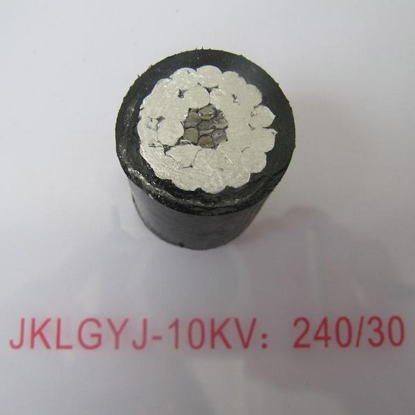 China 
                                 10kv Aluminiumobenliegendes Isolierkabel des leiter-XLPE Kabel                              Herstellung und Lieferant