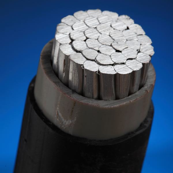 China 
                                 300mm de isolamento de PVC CABO DE NÚCLEO ÚNICO cabo de alimentação elétrica de alumínio                              fabricação e fornecedor
