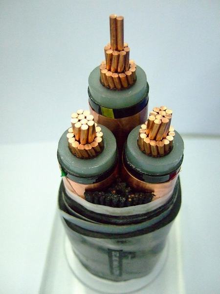 China 
                        3cores Copper Conductor XLPE/PE Insualted PVC Sheath Power Cable
                      manufacture and supplier