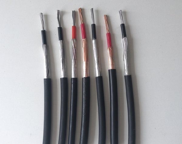 600V Aluminum Conductor XLPE Insulated 10mm Concentric Service Cable