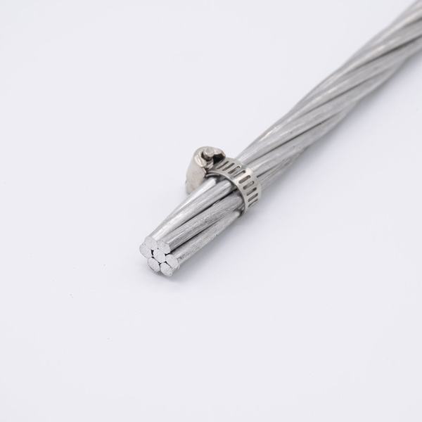China 
                                 AAC Cables conductores desnudos de aluminio conductor trenzado                              fabricante y proveedor