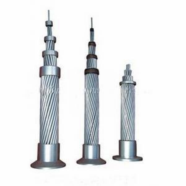 Chine 
                                 ACSR 50mm2 lapin Tigger Conductor                              fabrication et fournisseur