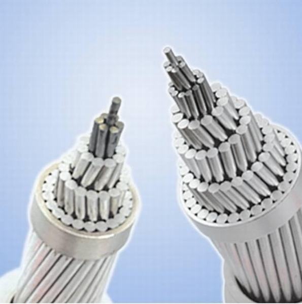 China 
                        ACSR Bare Conductor for Electric Transport Wire
                      manufacture and supplier