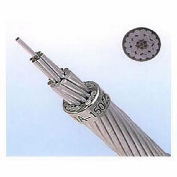 China 
                                 ACSR Tern Conductor para el cable eléctrico                              fabricante y proveedor