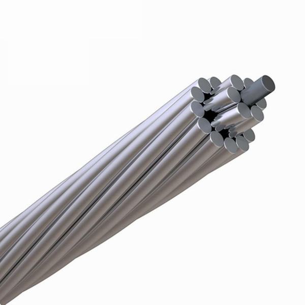 China 
                                 ASTM ACSR Drake conductores Cable Sobrecarga de desnuda                              fabricante y proveedor