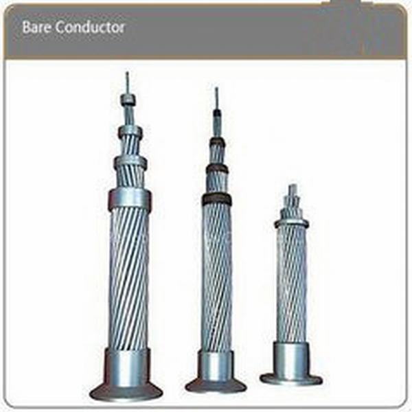 China 
                                 ASTM Núcleo de acero y aluminio Cable de alimentación de sobrecarga de conductores ACSR desnuda                              fabricante y proveedor