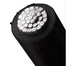 China 
                ASTM Standard Mulberry 266.8 AWG Aluminum AAC Core XLPE/PE Insulated Aerial Cable
              manufacture and supplier