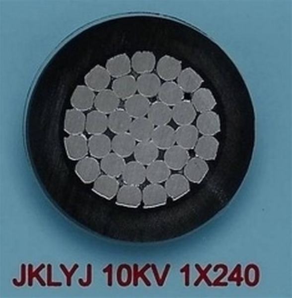 China 
                        Aerial Bundle Cable 10kv Aluminium Conductor 1*240 ABC
                      manufacture and supplier
