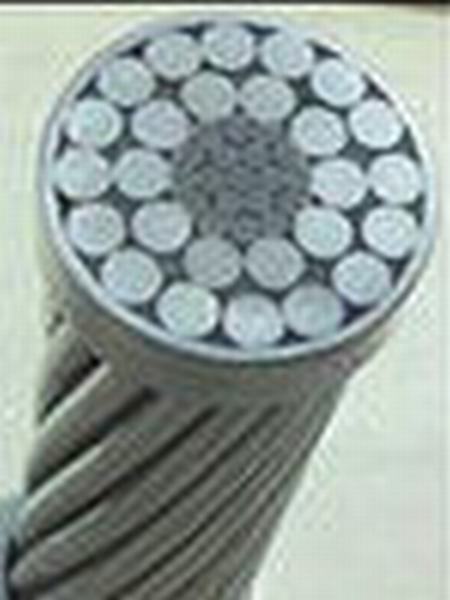 Cina 
                                 Conduttore nudo ACSR di memoria d'acciaio di alluminio del conduttore                              produzione e fornitore