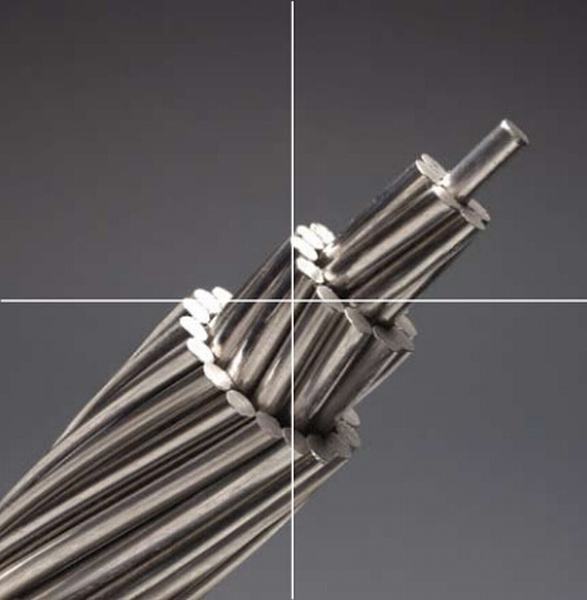 China 
                                 Aluminiumverstärkte 315mm2 ACSR obenliegende Zeile des leiter-Stahl                              Herstellung und Lieferant
