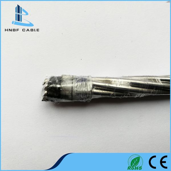 China 
                                 Aluminiumleiter des BS-Standardobenliegender blank elektrischer 600sqmm Drahtseil-AAC                              Herstellung und Lieferant