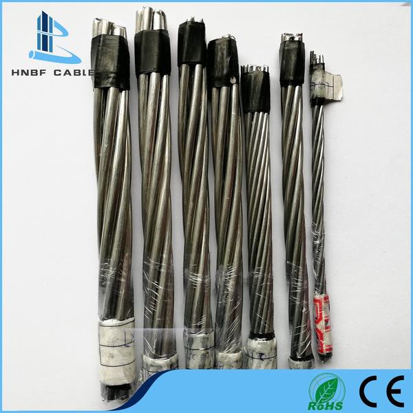 China 
                                 Norma BS todos os cabos de alimentação de alumínio 225sqmm AAC Conductor                              fabricação e fornecedor