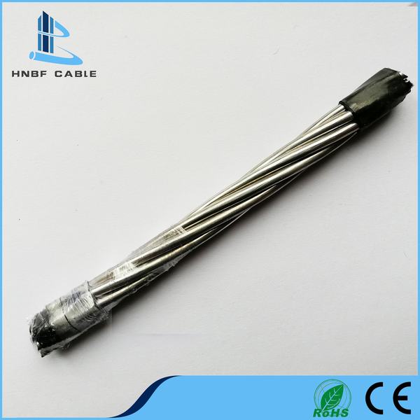 Cina 
                                 Standard delle BS tutto il conduttore di alluminio del lepidottero AAC del cavo elettrico 350sqmm                              produzione e fornitore