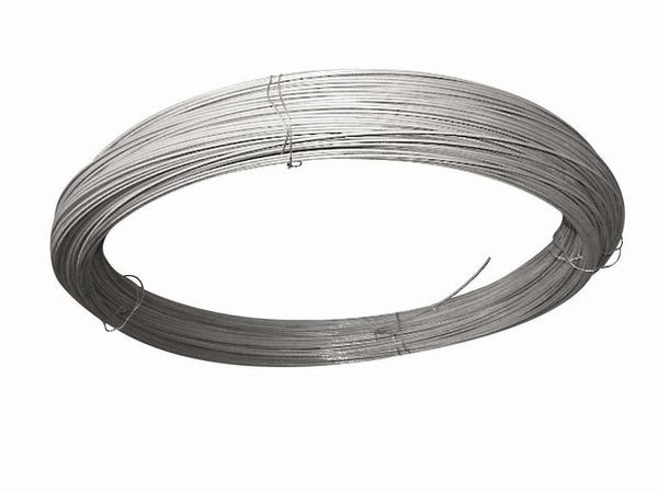 Chine 
                                 Fil en acier galvanisé standard BS Guy fil séjour sur le fil électrique                              fabrication et fournisseur