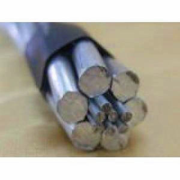 China 
                        BS215 Aluminum Condcutor 25mm2 ACSR Gopher Conductor
                      manufacture and supplier