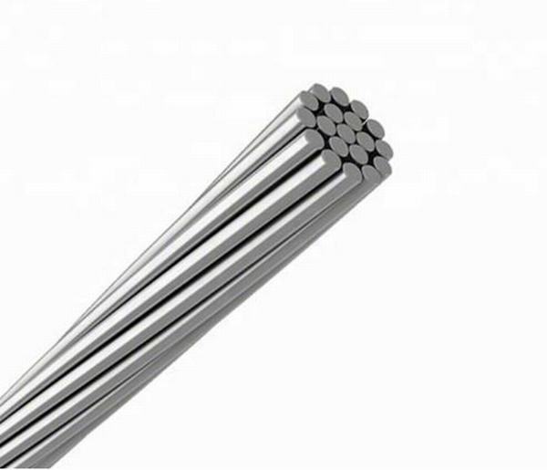 China 
                                 Material de aluminio conductor desnudo Conductor AAC                              fabricante y proveedor