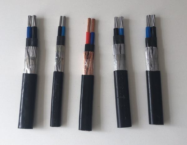 China 
                        Copper/ Aluminum Conductor XLPE Insulation Service Concentric Cable
                      manufacture and supplier