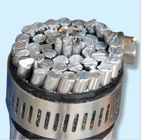 DIN Standard Aluminum ACSR Bare Conductor 495/35mm2