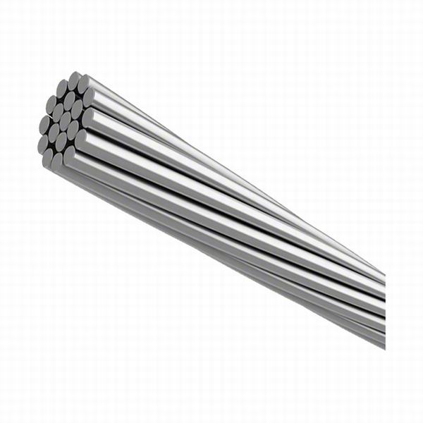 China 
                                 Aluminio Daisy AAC Unsheathed aire Cable de transmisión de energía                              fabricante y proveedor
