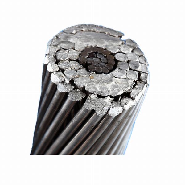China 
                                 Especificación de cable eléctrico blindado único conductor de aluminio desnudo acero ACSR                              fabricante y proveedor