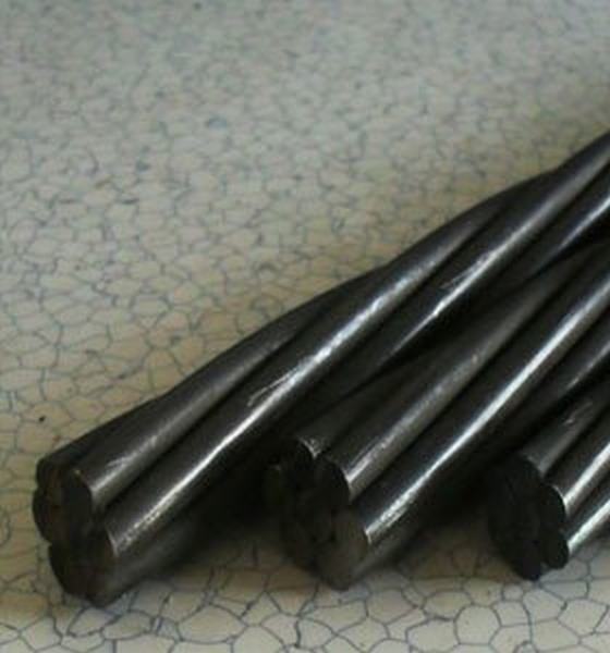 Китай 
                                 Пружина Высокоуглеродистой колпачок клеммы втягивающего реле черного цвета провод SUS сталь/Guy провод                              производитель и поставщик