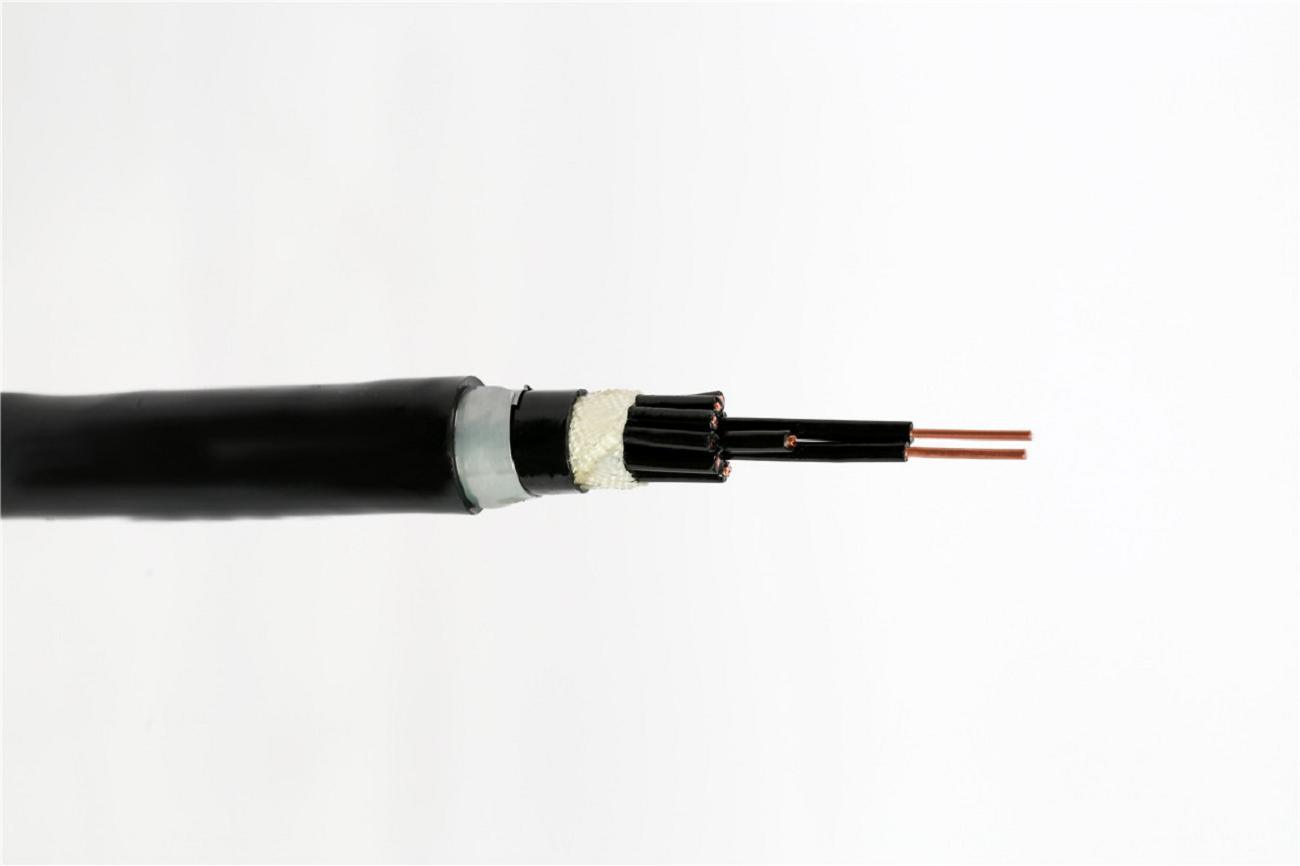 
                Итальянский стандартный управляющий кабель N07g9-K.
            