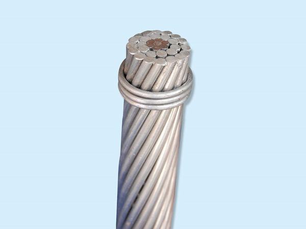 China 
                        Linnet Overhead ACSR Conductor
                      manufacture and supplier