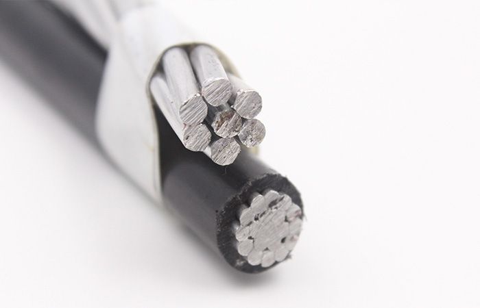 
                Low Voltage PE or XLPE Insulation Duplex 4AWG Service Drop Aluminum Cable
            