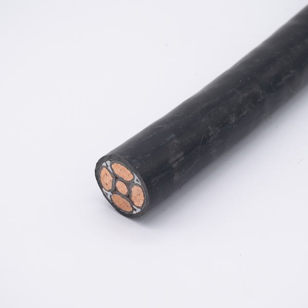 China 
                        Low Voltage XLPE/PVC Insulated Copper Power Cable
                      manufacture and supplier