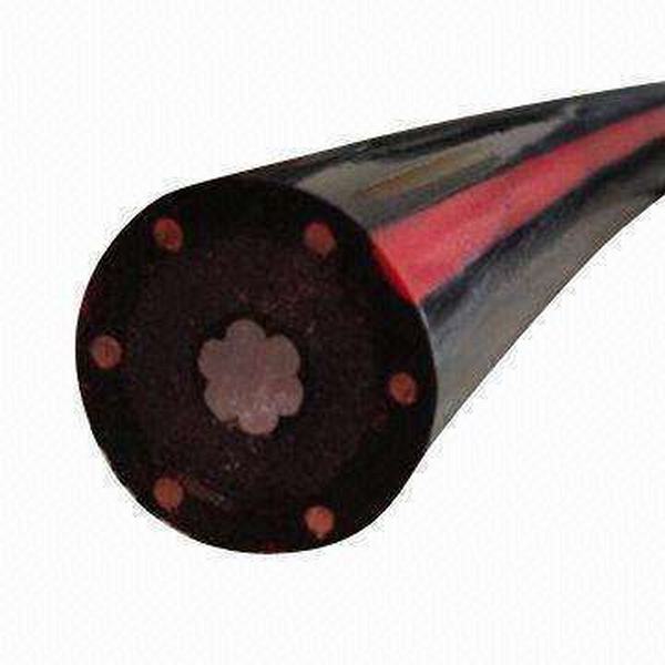 China 
                        Low Voltage10mm Copper/XLPE/PVC Concentric Cable
                      manufacture and supplier