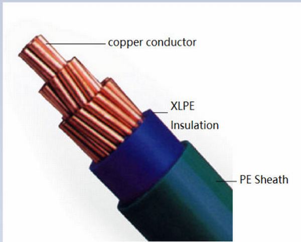 China 
                        N2X2y 0.6/1kv 150mm2 XLPE Insulation Yjy Yjly Power Cable
                      manufacture and supplier