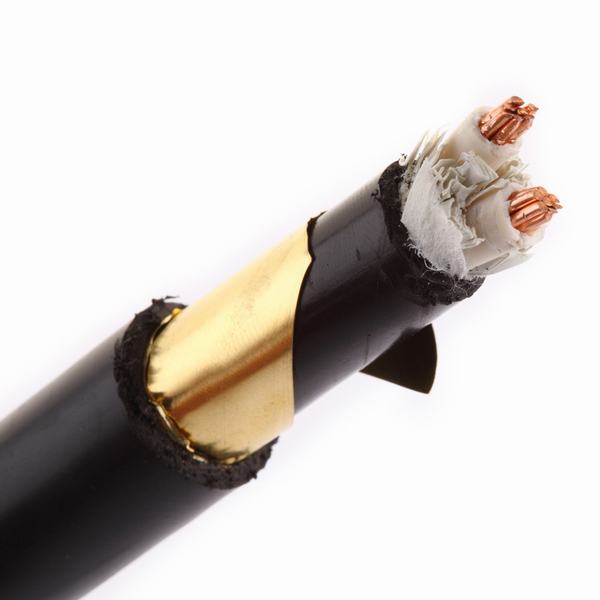 China 
                        PVC XLPE Insulated PVC Sheathed Aluminum Cable 2*1.5-2*500 Two Cores Steel Tape Armoured Electric Power Cable
                      manufacture and supplier