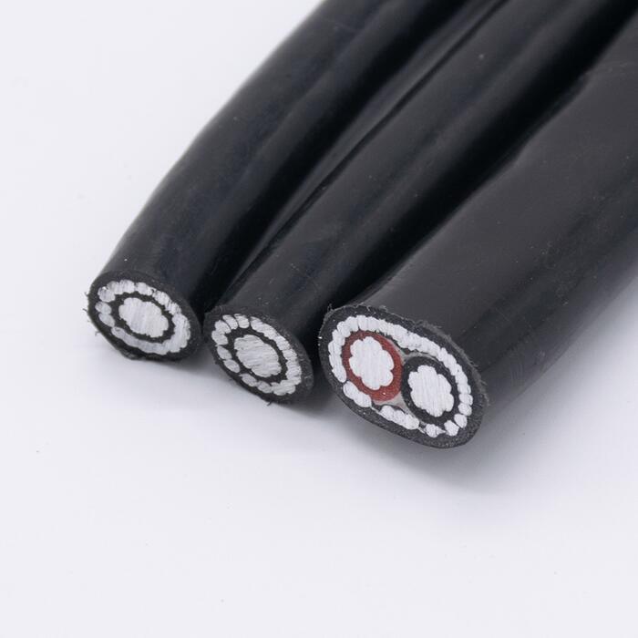 Power and Single Cable 0.6/1 Kv XLPE Insulated PVC Sheathed with Concentric