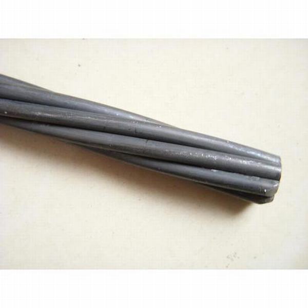 China 
                        Straight Lengths Earth Steel Wire with Good Quality
                      manufacture and supplier