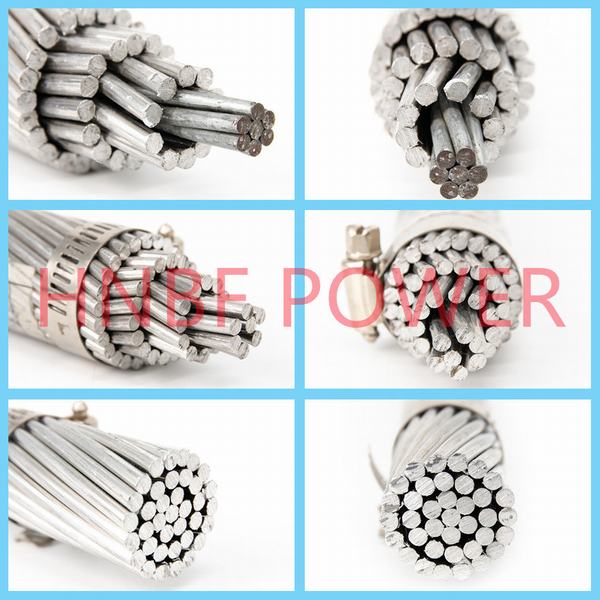AAC / AAAC / ACSR Conductor Overhead Electrical Cable Transmission Conductor Bare Conductor Steel Core Medium Voltage