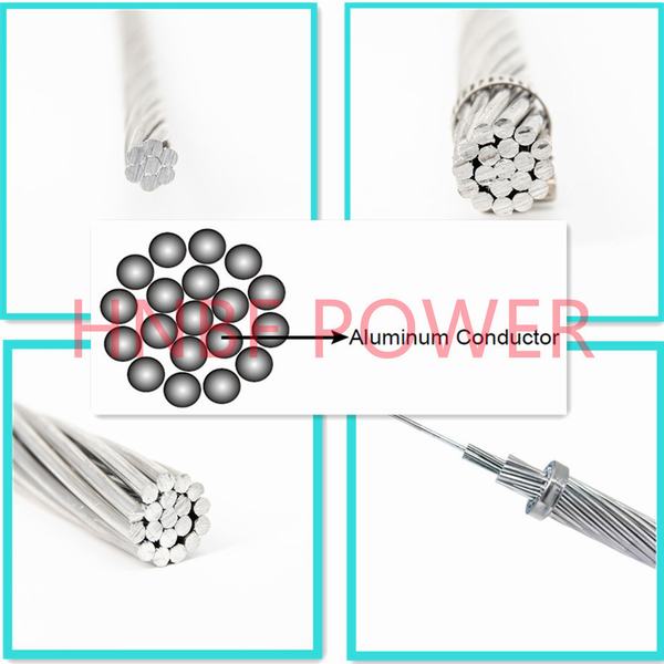 AAC Conductor Bare Overhead Aluminum Stranded Conductor BS215 Astmb231 IEC 61089 for Power Transmission