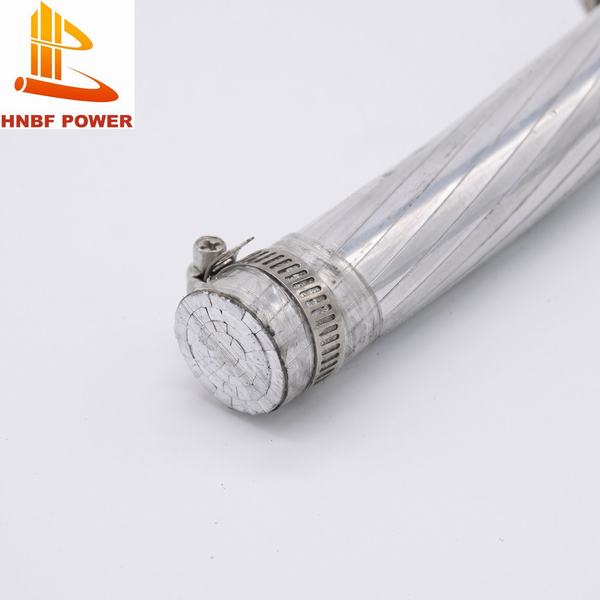 China 
                        ACSR Conductors for Transmission Lines Conductor Types and Sizes
                      manufacture and supplier