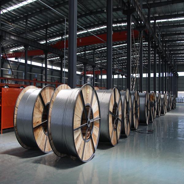 Cina 
                                 Conduttore nudo in alluminio AAC/AAAC/ACSR standard ASTM, BS, DIN per cavo di trasmissione in testa                              produzione e fornitore