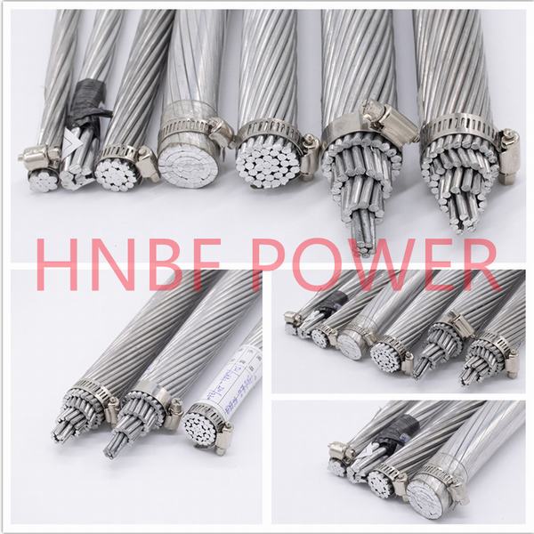 China 
                                 La sobrecarga de aluminio reforzado de acero conductor desnudo al cable de alambre hebras AAC ACSR                              fabricante y proveedor