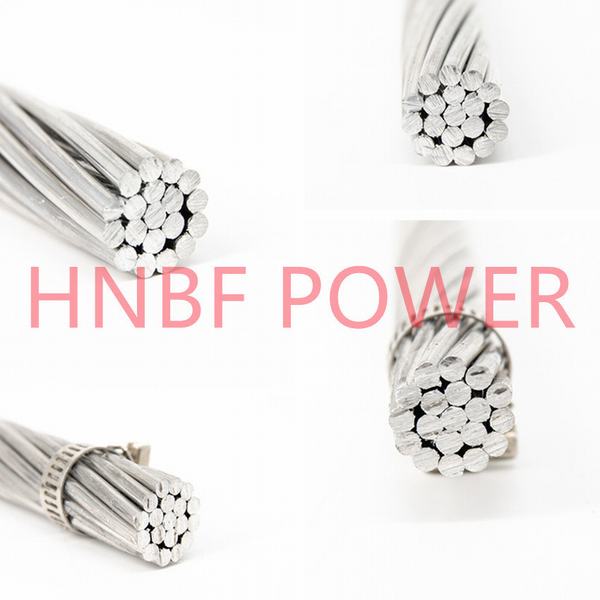 Bare Aluminum Conductor/AAC/AAAC Cable Racoon/Hare/Tiger/Lynx